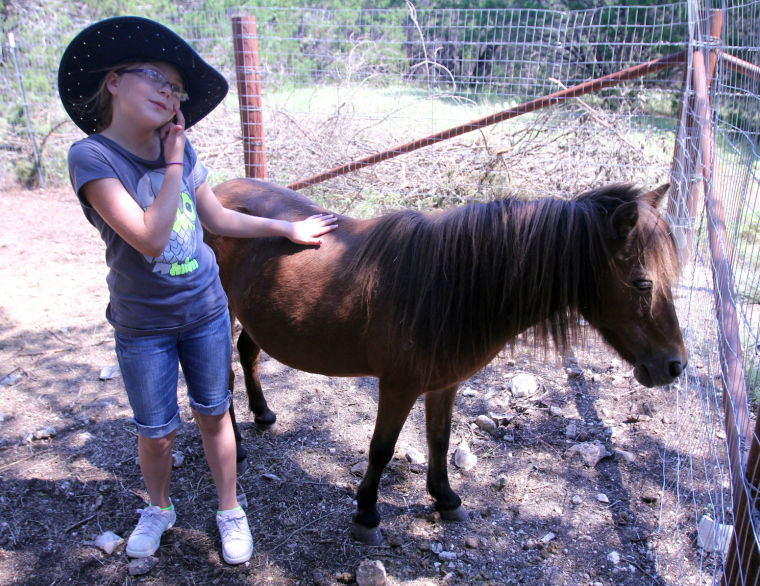 Wrangler Camp